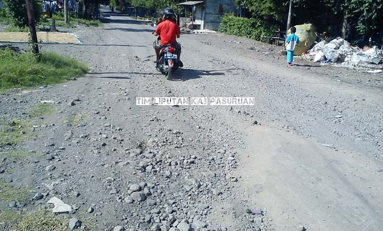 SIAPKAN Rp 171 M LEBIH UNTUK PERCANTIK JALAN DI KABUPATEN PASURUAN