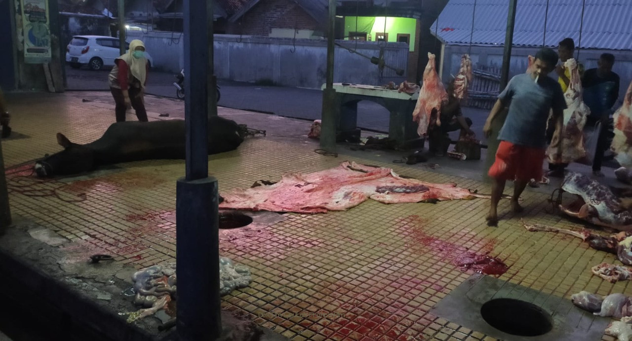 Wajibkan Pemotongan Ternak di RPH