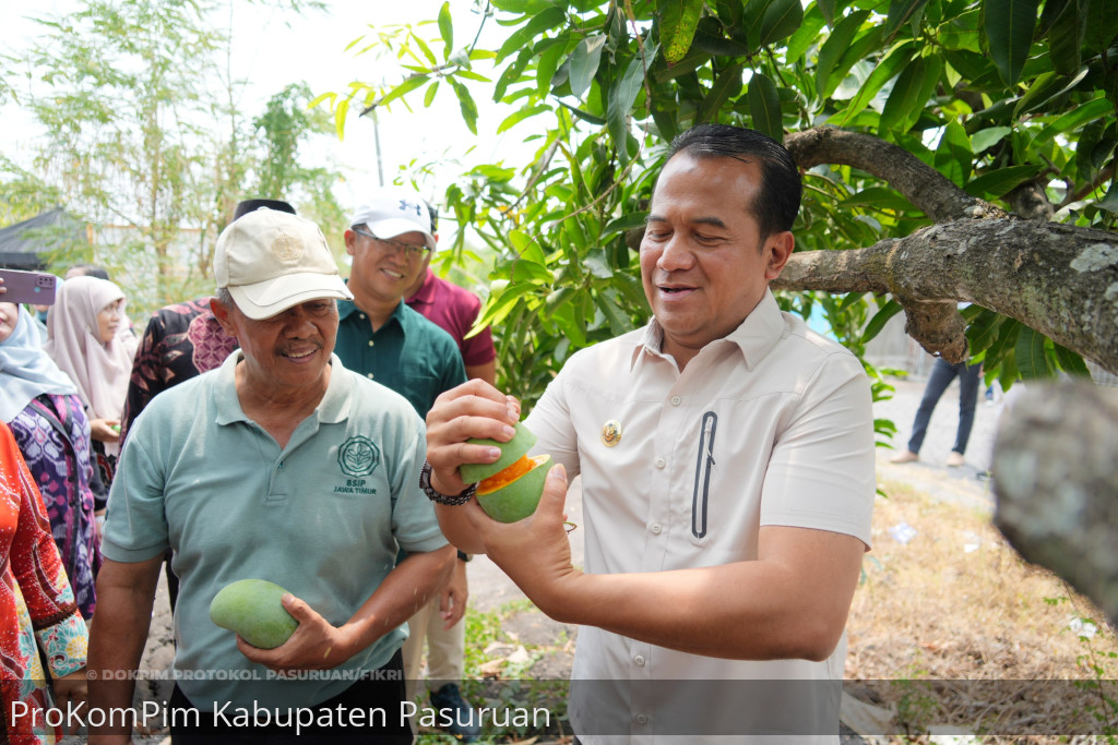 Buka Gerakan Pangan Murah Bursa Pasar Murah Mangga Putar, Pj. Bupati Nurkholis Panen Mangga Alpukat Langsung Dari Pohonnya