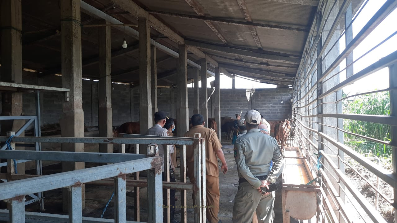 Stok Menipis, Pemkab Pasuruan Minta Pemerintah Pusat Segera Kirim Obat-Obatan dan Vitamin Bagi Sapi 