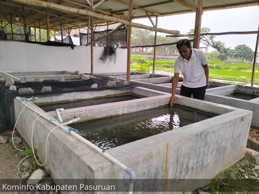 Sudarmaji, Warga Pandaan Sukses Jaga Kelestarian Ikan Wader Merah