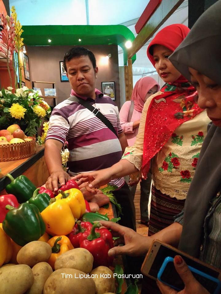 Gaungkan Produk IKM & UMKM, Pemkab Pasuruan Kembali Gelar Pameran BBGRM & HKG-PKK   