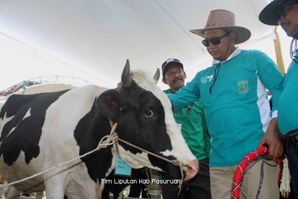 Bupati Irsyad Yusuf Resmikan Kontes Ternak Terbesar se-Kabupaten Pasuruan