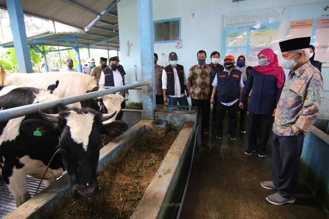 Gubernur Jatim, Khofifah Indar Parawansa Optimis KPSP Setia Kawan Nongkojajar Jadi Pusat Penyediaaan Daging dan Telur