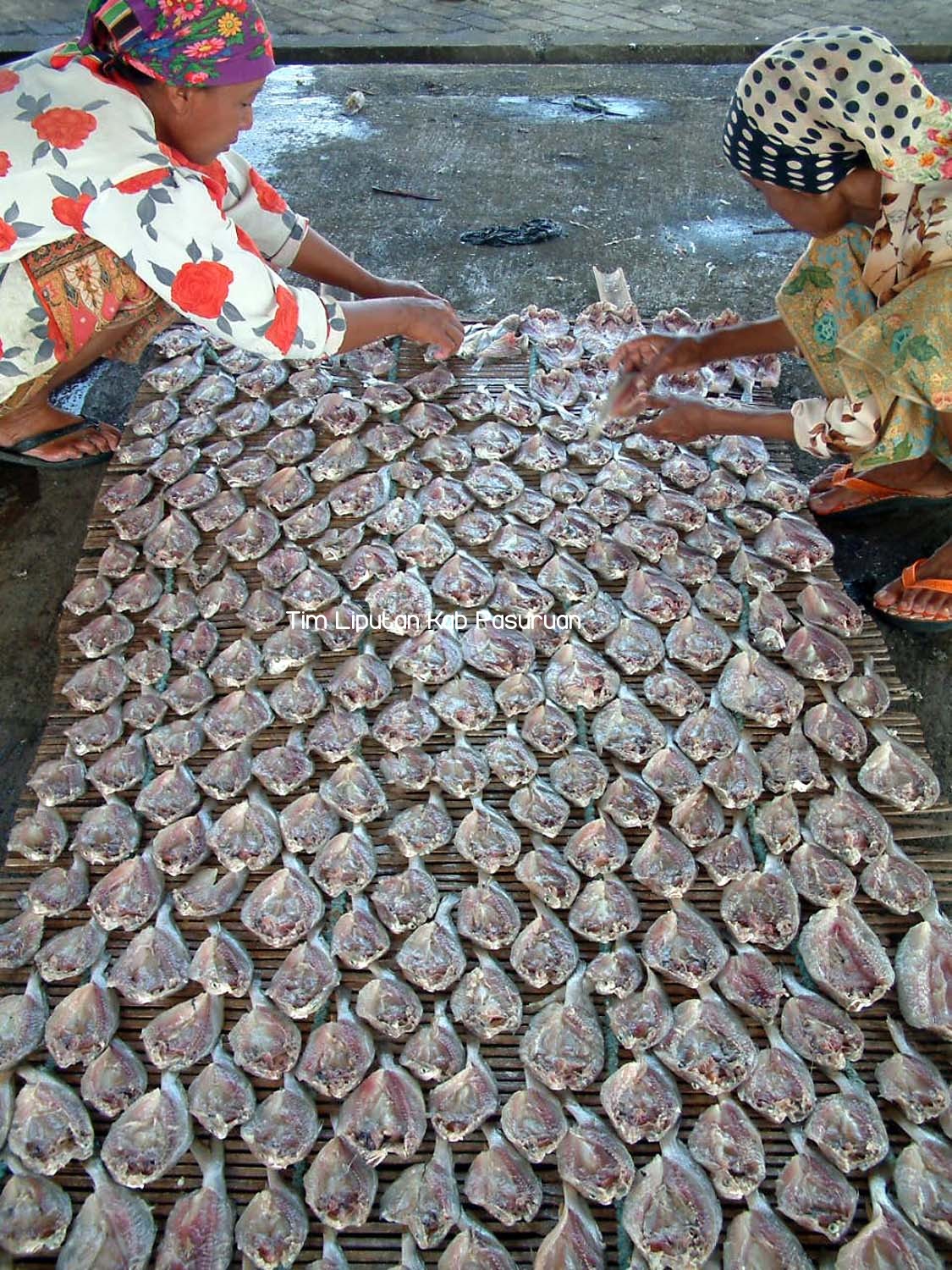 TINGKATKAN HASIL TANGKAPAN IKAN, PEMKAB PASURUAN TERAPKAN SKENARIO MANAJEMEN PERIKANAN  