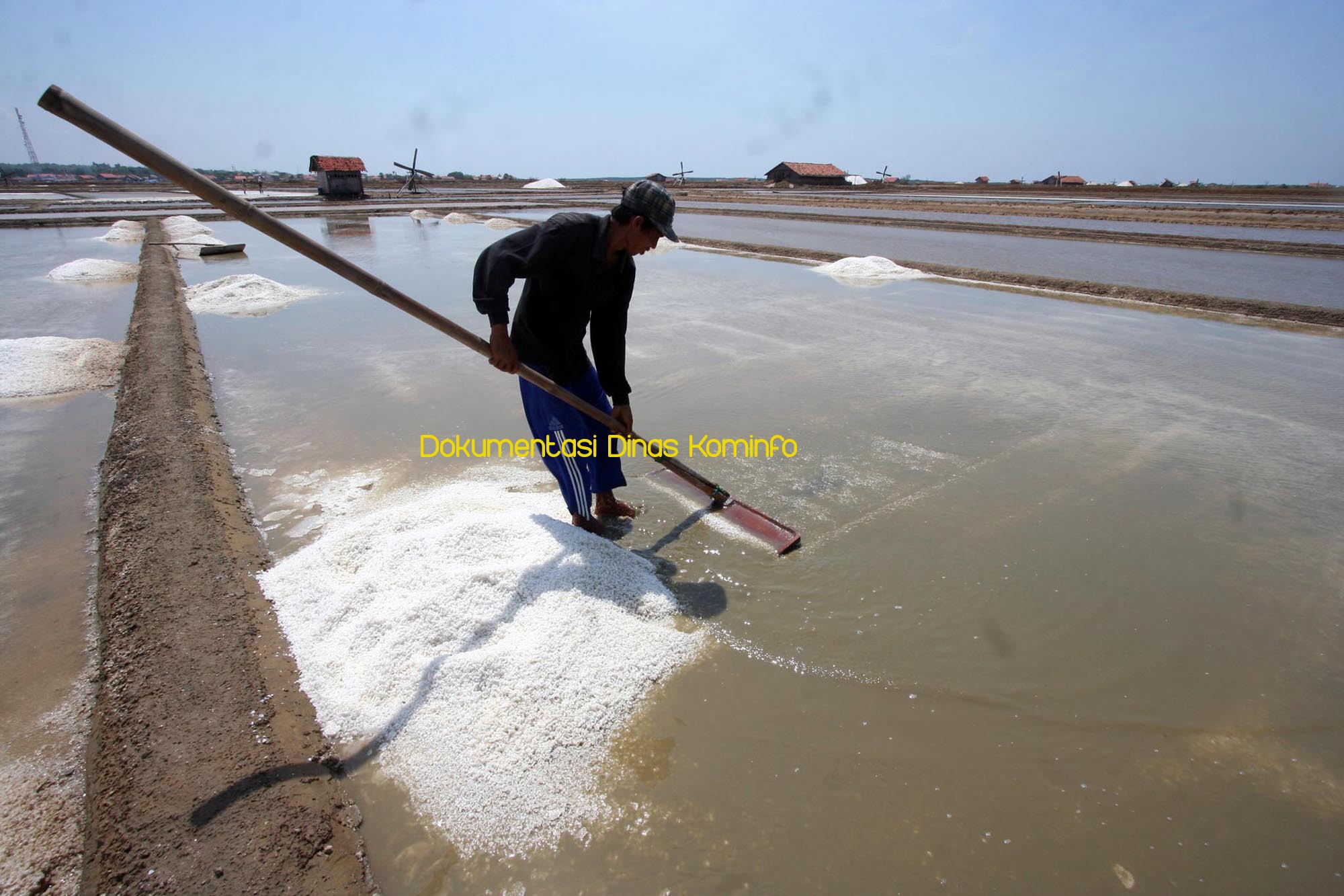 Cuaca Mendukung, Produksi Garam di Kabupaten Pasuruan, Dimulai