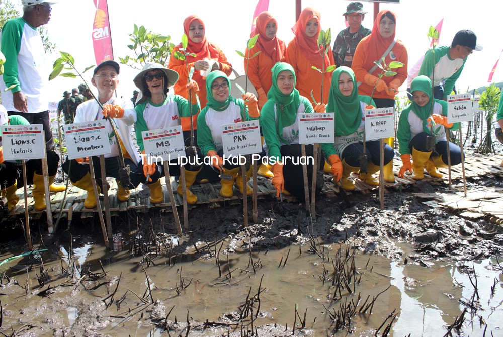 MELALUI CSR PERUSAHAAN, KETUA TP PKK, Ny LULIS AJAK WARGA TANAM 10.000 BIBIT MANGROVE