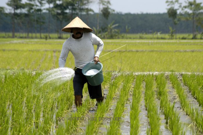 Usulkan 2763 Ton Kuota Pupuk Bersubsidi